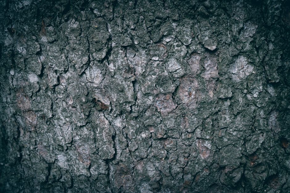 Close up of fine wood texture on handmade furniture